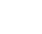 icon1.1 icon1.1